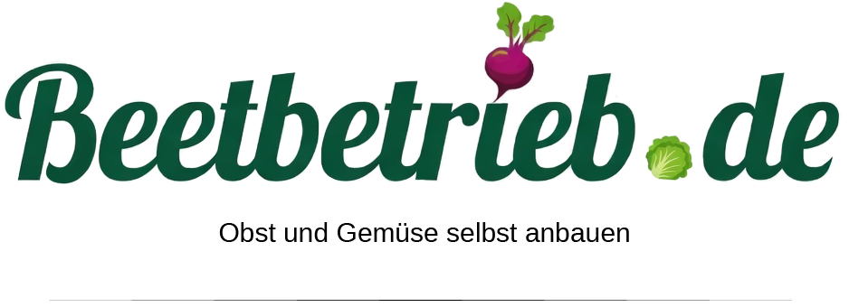 Beetbetrieb.de